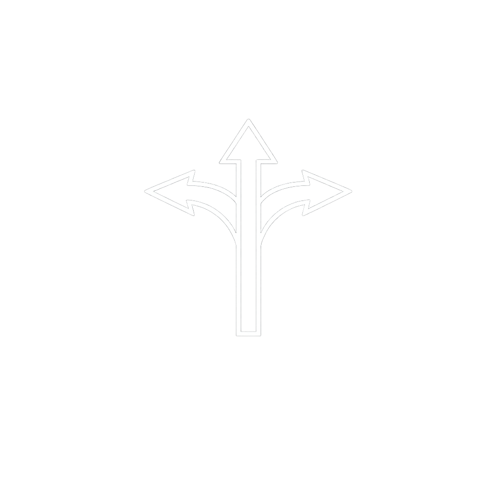 Cultural Variation in Conflict Strategy